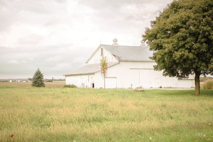 Picture of BARN IN THE COUNTRY I