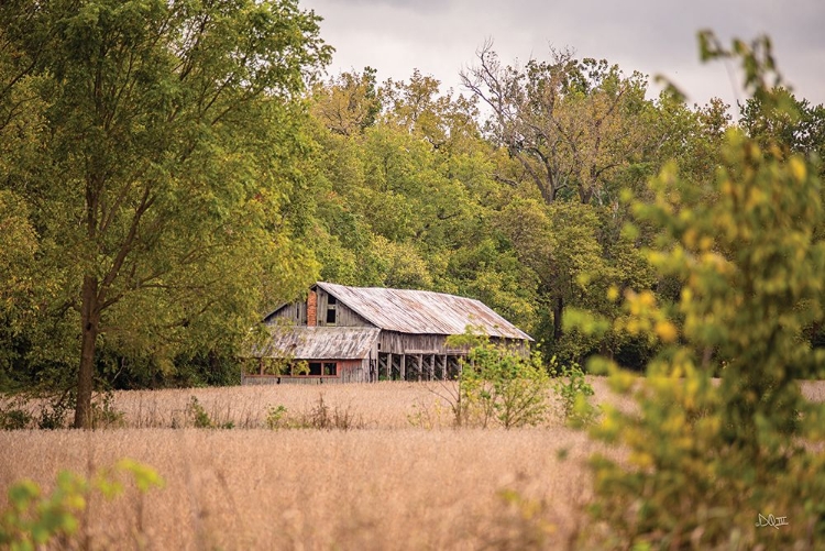 Picture of BARN IN THE COUNTRY II