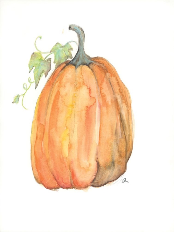 Picture of PLUMP PUMPKIN