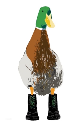 Picture of DUCK IN DOCS III