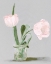 Picture of TULIP SISTERS