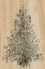 Picture of OH CORAL TREE
