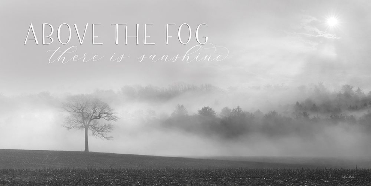 Picture of ABOVE THE FOG