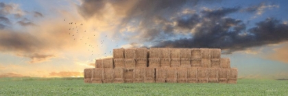 Picture of HAYSTACK HARVEST