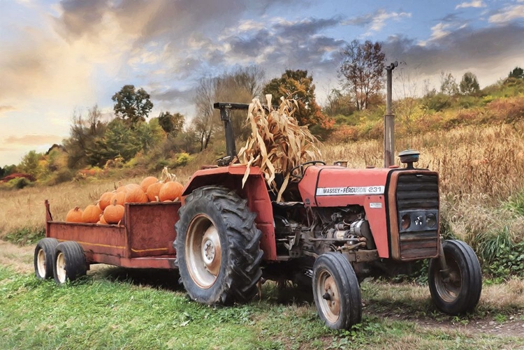 Picture of PUMPKIN HARVEST