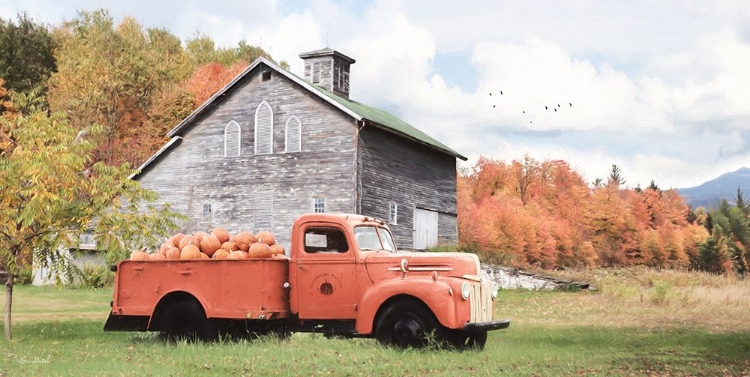 Picture of PUMPKIN PATCH