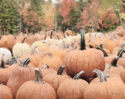 Picture of THE PERFECT PUMPKIN