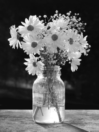Picture of MORNING DAISIES II