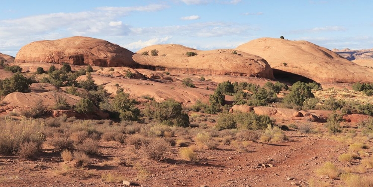 Picture of MOAB SAND FLATS I