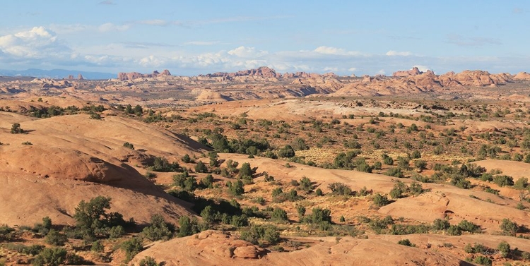 Picture of MOAB SAND FLATS II