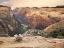 Picture of ZION DESERT LIFE