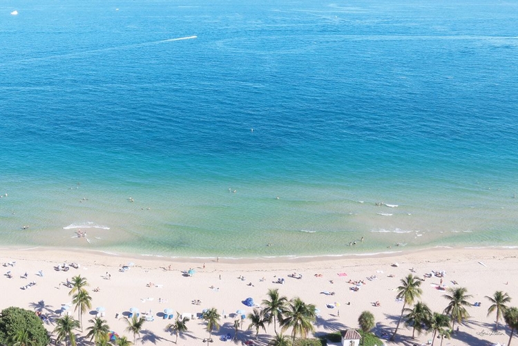 Picture of BEACH VIEW FROM ABOVE