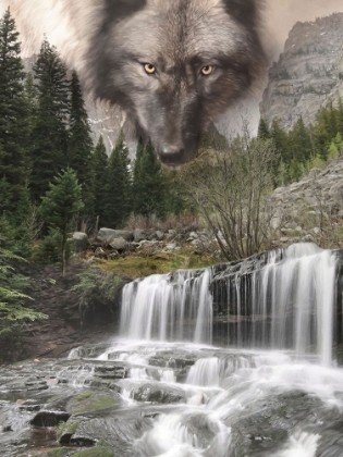 Picture of WATCHFUL WOLF