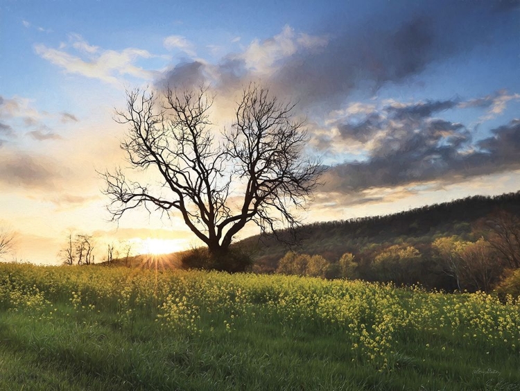 Picture of CLARK VALLEY SUNSET