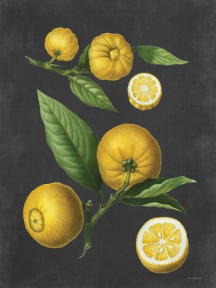 Picture of LEMON CITRUS