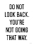 Picture of DO NOT LOOK BACK