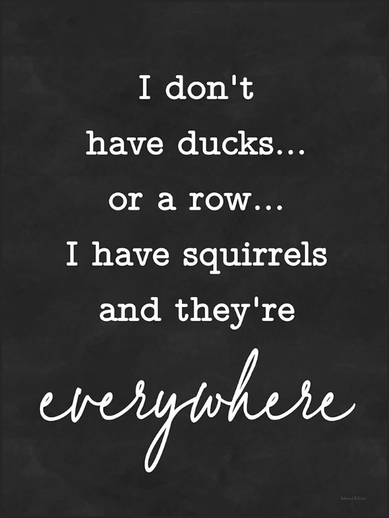 Picture of I DONT HAVE DUCKS