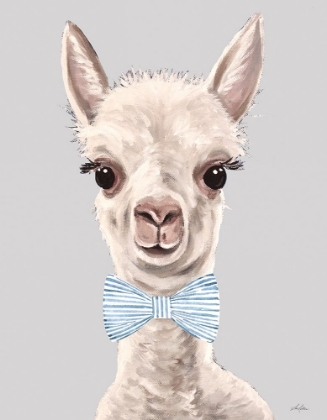 Picture of BABY BOY ALPACA