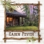 Picture of CABIN FEVER