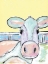 Picture of MOO MOO