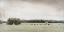 Picture of GREEN PASTURES