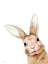Picture of FLUFFY PEEKABOO BUNNY