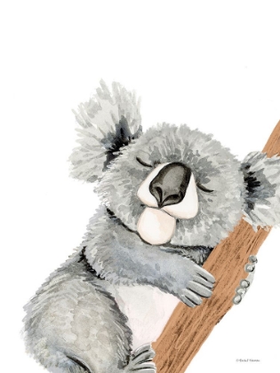 Picture of CUDDLES THE KOALA