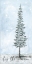 Picture of TIS THE SEASON