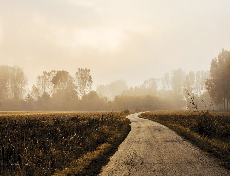 Picture of COUNTRY ROAD