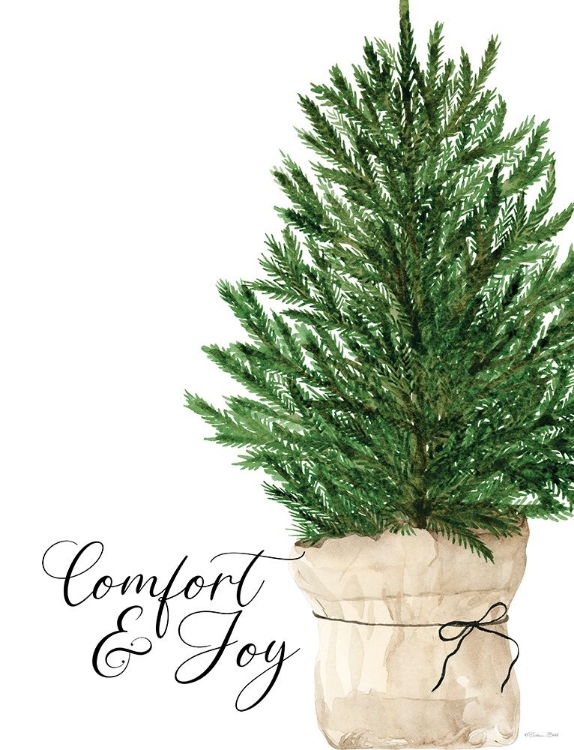 Picture of COMFORT AND JOY