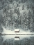 Picture of CABIN IN THE WOODS