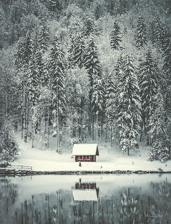 Picture of CABIN IN THE WOODS