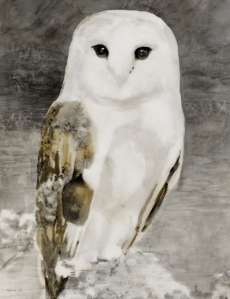 Picture of SNOWY OWL 1