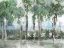 Picture of BEHIND THE TREES 2