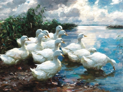 Picture of DUCKS BY THE LAKE 1