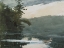 Picture of DEER IN THE ADIRONDACK