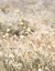 Picture of SWEET VINTAGE FIELD