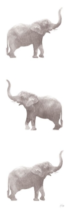 Picture of HAPPY ELEPHANT DAY