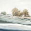 Picture of BLUE STILL TREES