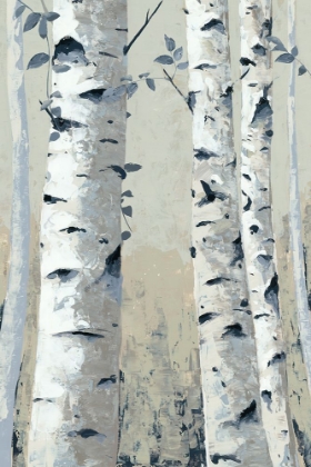 Picture of ASPEN BIRCH