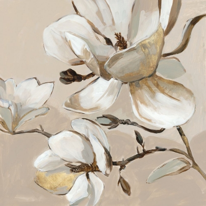 Picture of WHITE MAGNOLIA BRANCH II