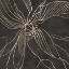 Picture of LINES OF GOLD FLORAL II