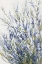 Picture of LAVENDER FLOURISH
