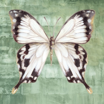 Picture of GREEN BUTTERFLY II