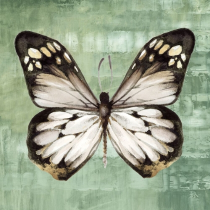 Picture of GREEN BUTTERFLY III