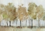 Picture of SUNNY FOREST TREES