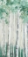 Picture of TRANQUIL GREEN FOREST II