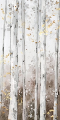 Picture of GOLDEN BIRCH FOREST I
