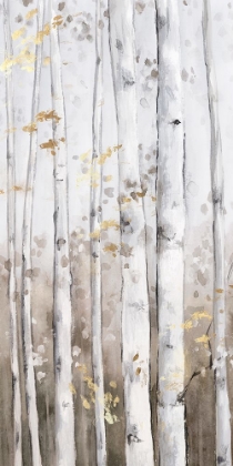 Picture of GOLDEN BIRCH FOREST II