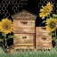 Picture of HONEY BEES AND FLOWERS PLEASE ON BLACK VII